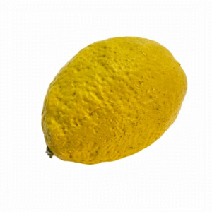FAUX Lemon
